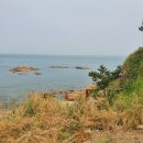 365울산누리팜 이미지