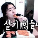 먹방피시방 이미지