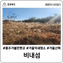 비내섬 화장실 | [충북 충주] 충주 가볼만한 곳, 비내섬, 가을 억새 명소의 절정! 11월 16일 일요일 방문 후기