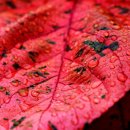 라이프메디칼 이미지