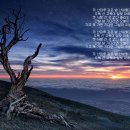 밤나무곡 이미지