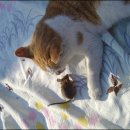 우짤낀데 이미지