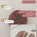 네일턴즈