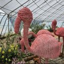 10월18일(토요일) 태안 네이쳐 월드 국제 꽃박람회 .백사장항 ~리무진 버스 당일 여행 이미지