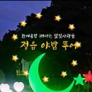 정읍시청소년수련관 | 한 여름밤 떠나는 정읍야밤투어! (솔티생태숲 &amp; 정읍사 달빛사랑숲)