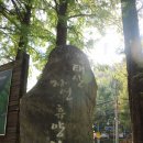 가을 대전여행 1박2일 여행코스 단풍놀이까지 즐겨요