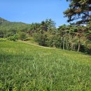 점동농장 이미지