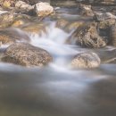 꽃들의이야기 이미지