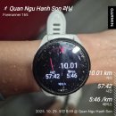 사이(42)Hotel | 다낭 TMS HOTEL앞 미케해변 10km달리기 -다낭우기 우중런 후기-