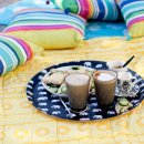 포커스 온 펫 이미지