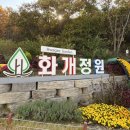 봉소리에하루 | 서울·인천 근교 단풍 명소 | 교동도 화개정원+대룡시장 가을 감성 가득 여행기| 주말 가족나들이 후기