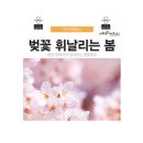 대전의 벚꽃길 추천 20곳 이미지