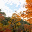 가야산로 이미지