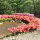 분당-398 이미지