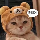 이마트24 광주삼성다잘점 | [내돈내산] 블루투스, 노캔 헤드셋 유목민의 정착기(소니, 보스, 젠하이저, 솔리테어, 뱅앤올룹슨...