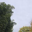 태화강국가정원 이미지