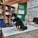 제주오름동물병원 이미지