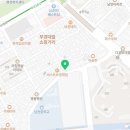 부산고양이분양 그린캣 이미지