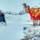 이례로-1 이미지