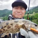 아평 마지막 네이버블로그