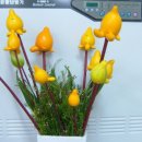 (주)이레 이미지