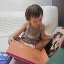 우리 아이 사회성 플러스(3차시) | 사운드북 돌아기 책 두두스토리 명화 클래식 4종 후기