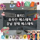 [뷰티] 양재 유라인 에스테틱 / 양재 양재시민의숲 피부 관리 추천