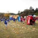 너랑노랑 이미지