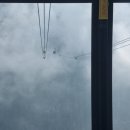 해바라기가 있는 풍 | 베트남 사파 4월 5월 날씨 옷차림 준비물 추천 우기 건기