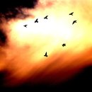 에벤에셀 이미지