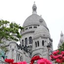 제주게스트하우스난산리큰집&일이오구 이미지