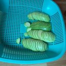 요즘 창 이미지