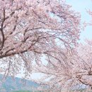 보령-주산-1 이미지