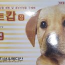 메디팜일산약국 이미지