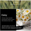헤트라스 디퓨저 굿데이 지디 추천 데이지향 디퓨저 내돈내산 후기