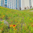 한숲물빛공원 이미지