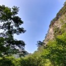 춘천바이오산업진흥원 이미지