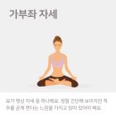 키 크는 요가 이미지