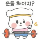 크로스핏레온 이미지