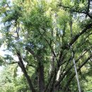 은행2동 행정복지센터 이미지