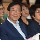 모건태양광발전소 이미지