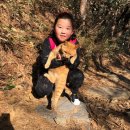 경원태권도 이미지