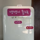 행복하게 해줄개 이미지