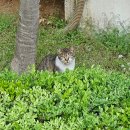 GS25 무원로점 | [평일] 집단적 독백 같은 일상 블로그