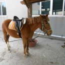 청산민박 이미지