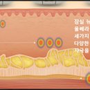 뉴리즈의원 이미지