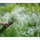 좋은선물 이미지