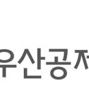 우산정보 이미지