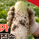 국용농장 이미지