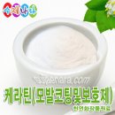 수제나라